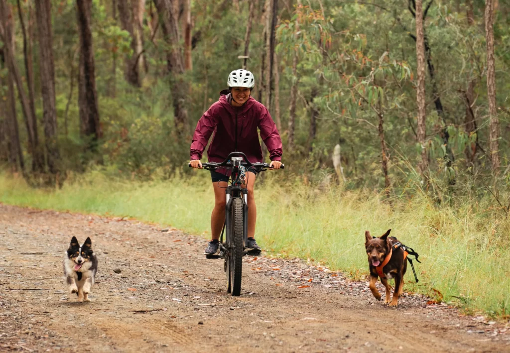 Dogpacking Australia